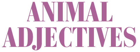 ANIMAL Adjectives